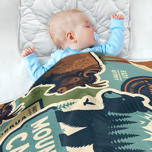 Image of Baby Swaddle Blanket for Boys Girls Soft Warm Stroller Throw Blanket for Newborn Infant Toddler 30X40in National Park Colorful Vintage Pattern