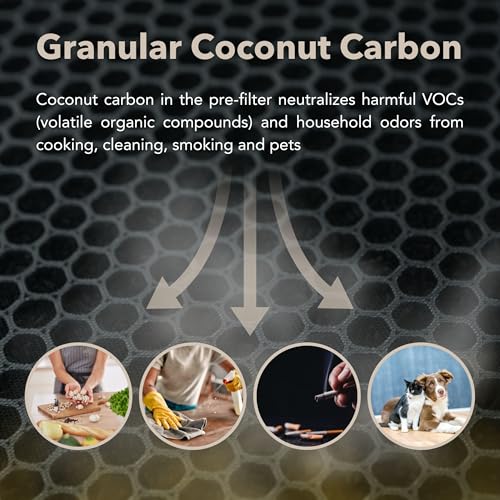 True HEPA Air Purifier for Allergies