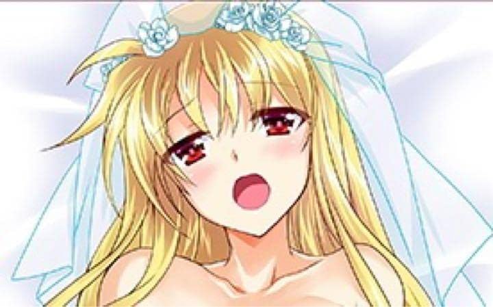 最終値下げ正規品魔法少女リリカルなのはフェイト抱き枕カバー