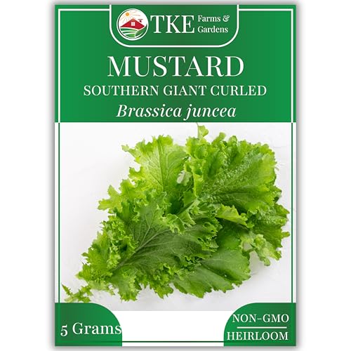 TKE Farms & Gardens - Mustard Green Seeds for Planting, Southern Giant Curled, 2000+ Heirloom Non-GMO Seeds, Grow Your own Mustard Greens, Instructions Included on Seed Packet, Brassica juncea, Qty 1
