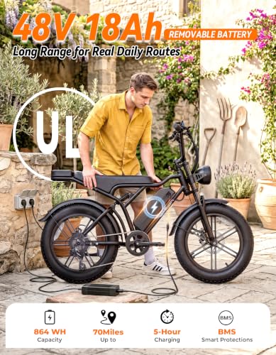 Jasion RetroVolt 330 Electric Bike