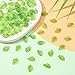 LiQunSweet 100 Pcs Transparent Acrylic Plant Tree Leaf Charms Plastic Green Leaf Charms for DIY Earrings Necklace Making