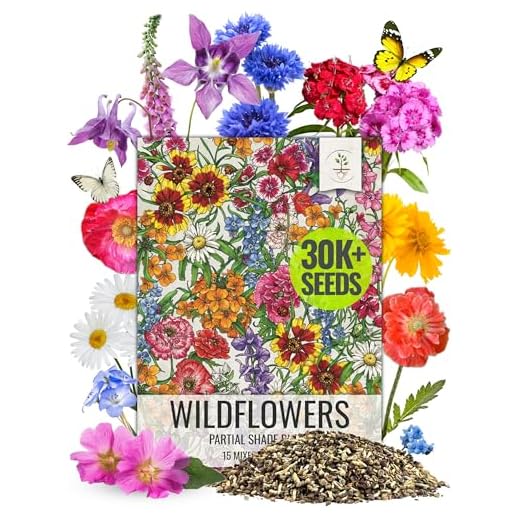 Bulk Package of 30,000 Seeds, Partial Shade Wildflower Mixture (15 Species) Non-GMO Seeds by Seed Needs