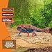 Schleich Wild Life Realistic Color-Changing Chameleon Figure - Wild Animal Toy Figurine, Durable for Education and Imaginative Play for Boys and Girls, Gift for Kids Ages 3+
