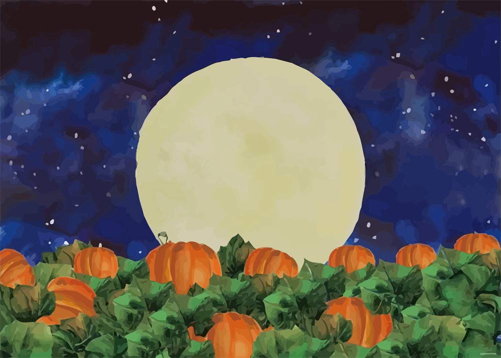 Geisterkürbis Fotohintergrund 180x109 Cm – Halloween Deko Für Zuhause, Aus Polyester