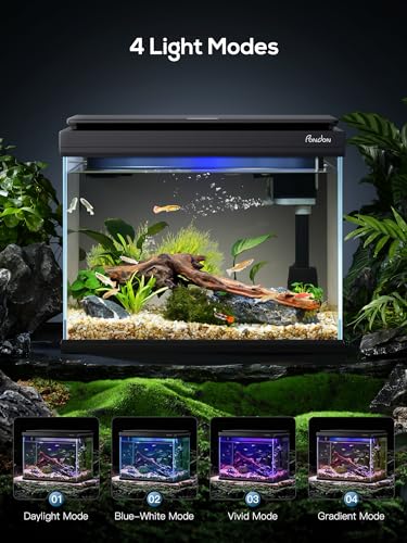 Pondon 5 Gallon Fish Tank, Low Iron Glass Aquarium Starter Kits With Temperature Digital Display thumb #2