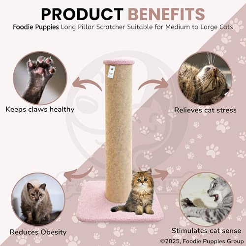 Image of Foodie Puppies Cat Scratching Post with Stable Base (78 cm, Long Pillar) | Durable Cardboard Paper Scratch Pole for Cats & Kittens | Indoor Cat Scratcher for Furniture Protection | Easy to Assemble