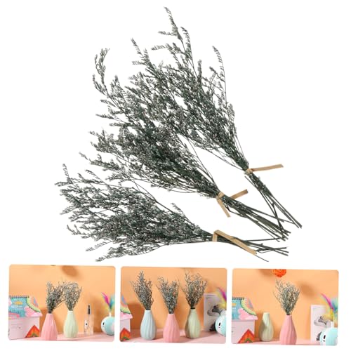 Ramo de flores secas Gypsophila para decoración miniatura 7