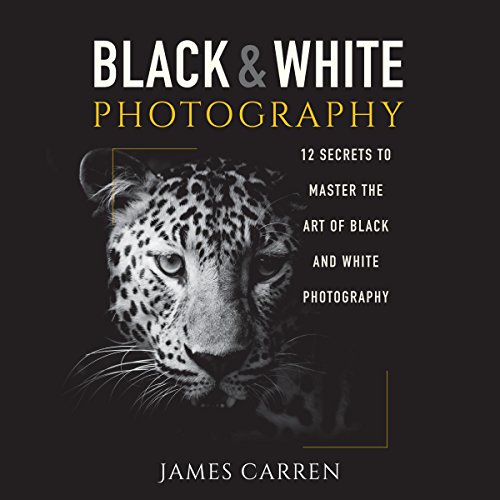 Black and White Photography 12 Secrets to Master the Art of Black and White
