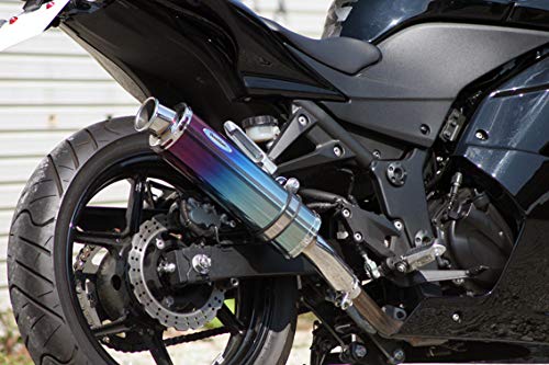 専用Realize ニンジャ250 Aria チタン (TypeC) マフラー Realize ニンジャ250 Aria チタン (TypeC) マフラー