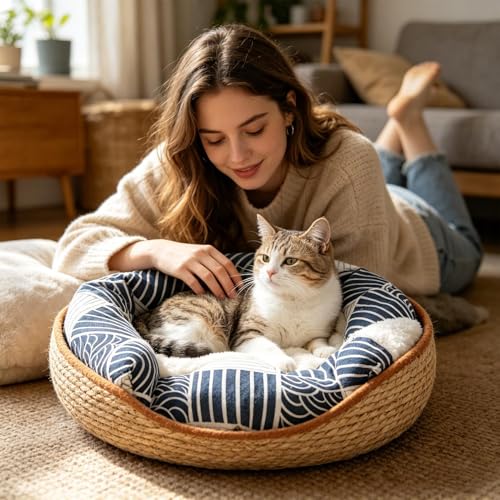 Cama Cesta Para Gatos y Mascotas en Sala de Estar e Interiores 4