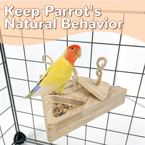 FlidRunest Wooden Bird Foraging Feeder, Interactive Foraging Toys for Parrots, Parrot Chewing Toy, Bird Perches Stand for Parrots, Cockatoo, African Grey, Macaws, Amazon - Image 6