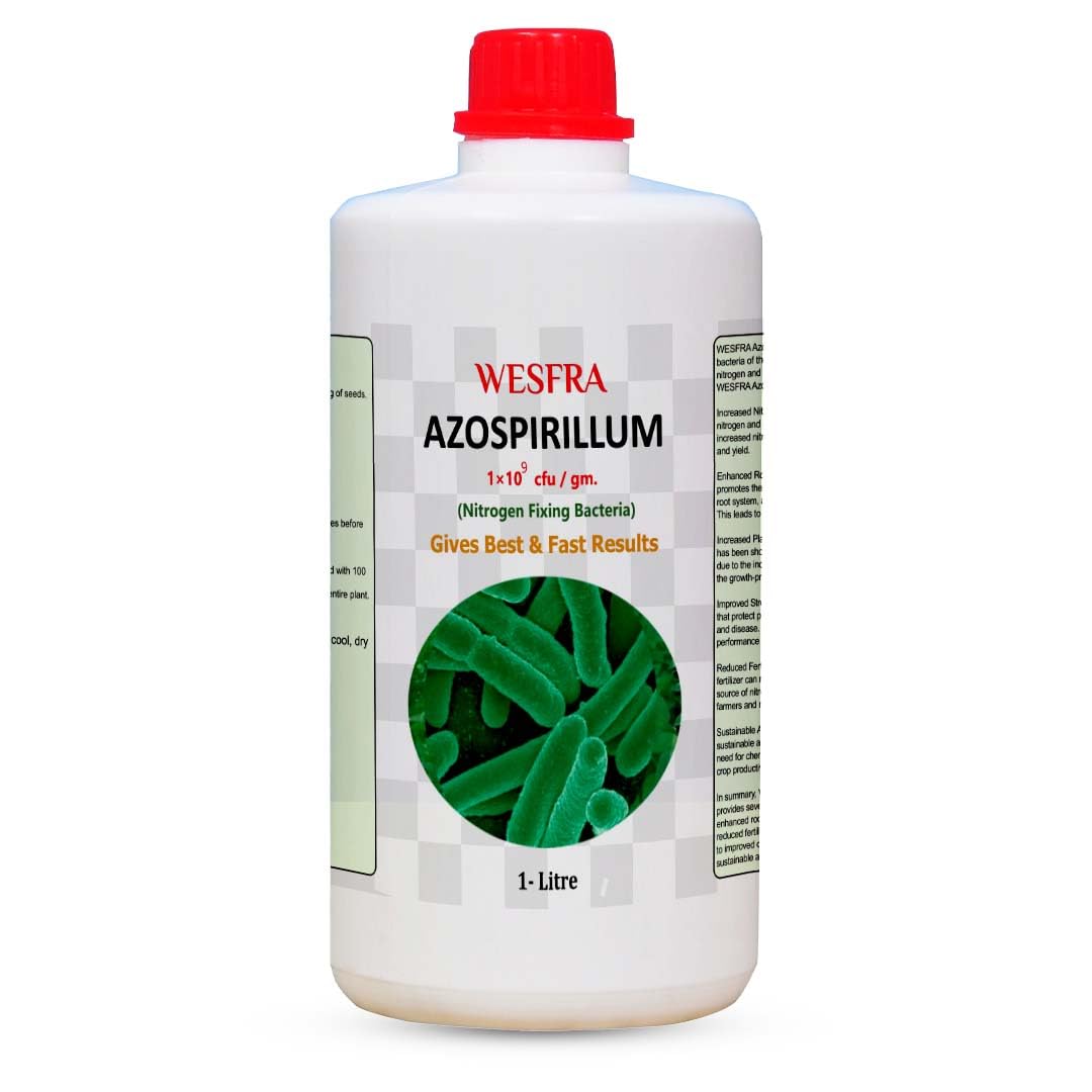 Azospirillum Nitrogen Fixing Bio-Fertilizer (1 Litre) - Organic Soil Enhancer for Plant Growth & Root Development (B0DDKTWY85) Amazon Price History, Amazon Price Tracker
