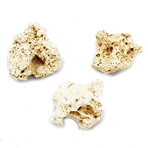 Exotenherz - Sansibar Rock Gr. S 7-10 cm 3er Set