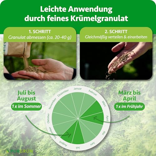 Purgrün® Thuja-Smaragd-Dünger 1 kg – Extra Magnesium schützt vor Nadelverfärbungen – Fördert ein dichtes Wachstum – Tonmineralien für einen gesunden Boden – Heckendünger für ca. 30 Pflanzen