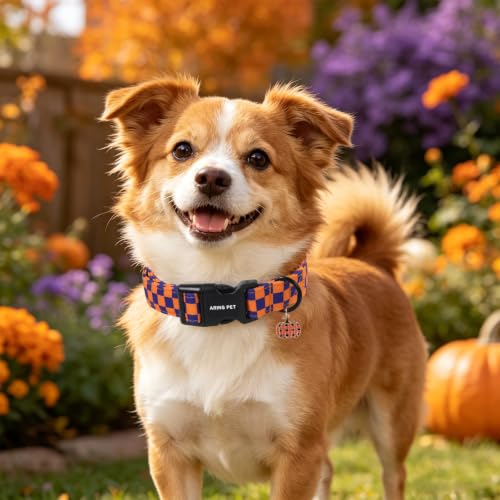 Image of ARING PET Fall Dog Collar for Puppy Small Medium Large Dog-Checkered M | Cute Autumn Purple Orange Plaid Doggy Collars with Charm for XS S M L XL Boy Girl Dogs, Soft Comfy Sturdy, Pumpkin Patch