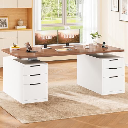 SEDETA Electric Standing Desk with Storage
