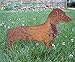 Dachshund Garden Stake or Wall Hanging