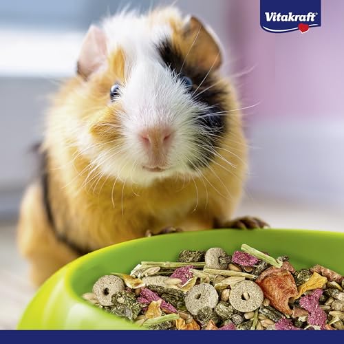 Vitakraft Menü Vital, Meerschweinchen Futter, mit Apfel, mit Kürbis, mit Roter Beete, angereichert mit Kräutern, ohne Zusatz von Zucker und Getreide (1x 5kg)