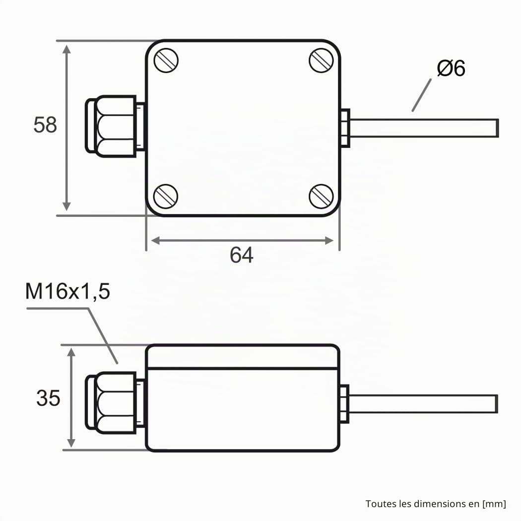 iOVEO 206AF02202 - Mesure de Température Extérieure, Capteur Extérieur Actif, 0-10 V ou 4-20 mA, Tube de Protection, PT1000, 2 Mètres