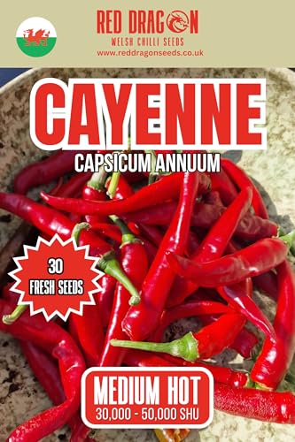 Cayenne Red Chilli Seeds - 20 Fresh Cayenne Red Pepper Seeds