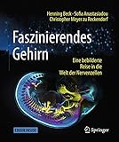 Faszinierendes Gehirn: Eine bebilderte Reise in die Welt der Nervenzellen