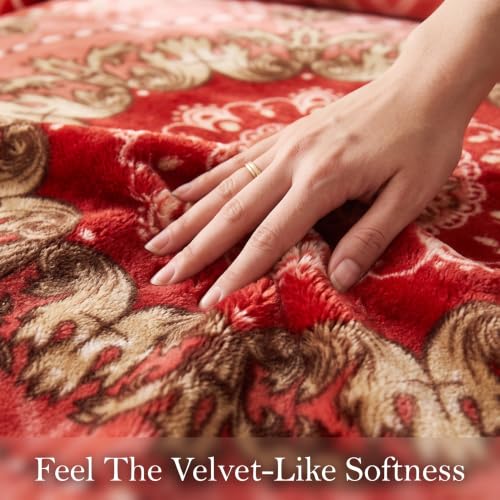 Image of BSB HOME Double Bed Mink Blanket 1.5 Kg, Velvet Like Soft Plush Fleece Blanket, Warm Lightweight Winter AC Blanket,Skin Friendly Floral Blanket for Double Bed,78 x 75 Inches(198 x 190 cm) - Scarlet