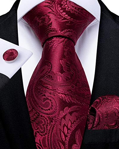Image of DiBanGu Mens Zipper Ties Silk Adjustable Necktie Pocket Square