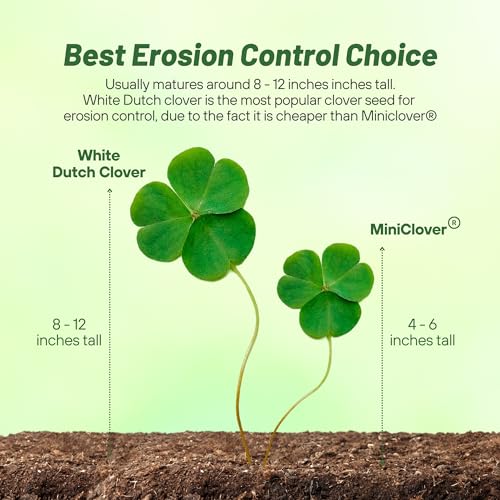 Grass Seed Blends For Erosion Control On Slopes