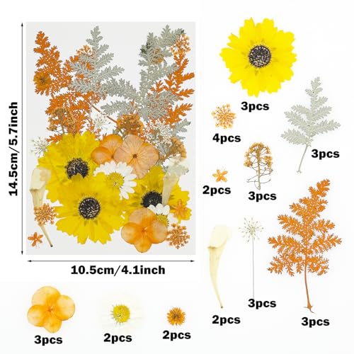 Cayway 40 PCS Dried Pressed Flower - Image 2