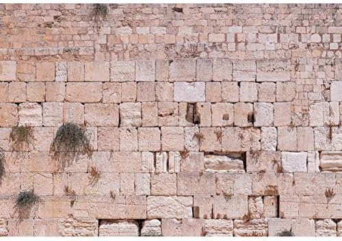BELECO 12x10ft Fabric Jerusalem Wall Backdrop Ancient Jerusalem Western - View #4