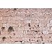 CSFOTO 10x6.5ft Western Wall Backdrop Jerusalem Photo Background Ancient Jerusalem Backdrop Brick Backdrops for Photography Jerusalem Wall Backdrop Wailing Wall Backdrop Israel Backdrop
