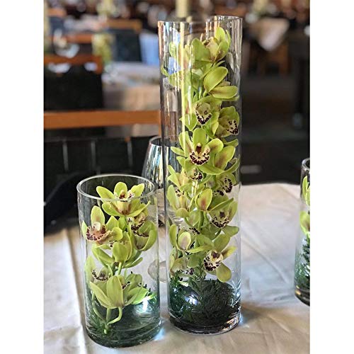 Wgv Cylinder Glass Vase, 4" W X 16" H, [Size/Bulk Choices Available], Floral Container, Flower Vase, Clear Candle Holder, Centerpiece For Wedding, Home Accent Decor, 1 Piece #TOP6
