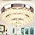 Cainjiazh Chandelier LED Crystal Ceiling Light