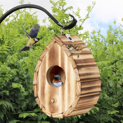 CLACKIBUKVYZ Hummingbird House,Wooden Birdhouse for Outside,Hanging Small Bird Houses,Wild Bird Nesting Box Outdoor Bird House for Bluebird,Finch,Cardinals