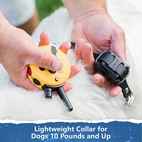 Mini Educator Et-302-1/2 Mile Rechargeable Dog Trainer Ecollar With Remote For Small, Medium, And Large Dogs By E-Collar Technologies - Electric, Vibration, Tone, And Stimulation Collar #TOP6