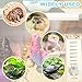 Anranmm Hermit Crab Accessories - Platform with Ladder and Food Dish, Hermit Crab Climbing Toys, Habitat Supplies and Tank Accessories for Reptiles, Hamsters, Geckos, Small Lizards