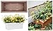 Bloem Veranda Rectangle Deck Box Planter: 26