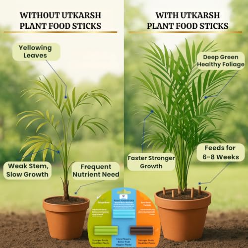 Image of Utkarsh Plant Food Root Sticks for Healthy Roots - Combo Pack of 2 | Natural & Organic Nutrition for All Indoor & Outdoor Home Garden Plants | Multi-Purpose Natural Plant Growth Booster