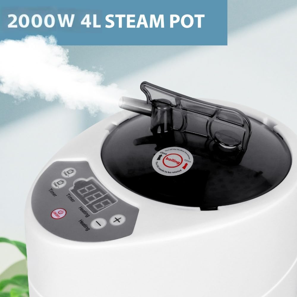 4L Sauna Steamer, Fcc Certified 4L & 2000W Steam Generator, Sauna Steamer Machine with Remote Control, Portable Sauna Steamer with Sturdy Lid And Explosion-Proof Interior, Black