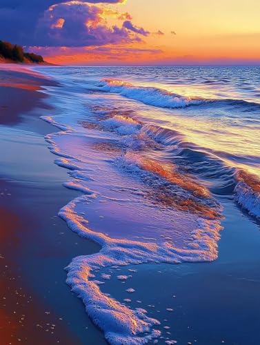 r[`yCgoCio[Lbg v GLbg lphGLoXNtg A[guVƃANG̋ DIYGoCH| |ph S qp ƒ̕Ǒ t[Ȃ40x50cm -2404