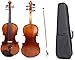 15.5インチ 5弦 ヴィオラ メープルウッドバック スプルースウッドトップ エボニーウッド 指板 & テールピース & あご置き フルサイズ ビオラ リボンとバックパック付き