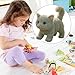 Giochi per Gattini per Bambine Imagen de Giochi per Gattini per Bambine