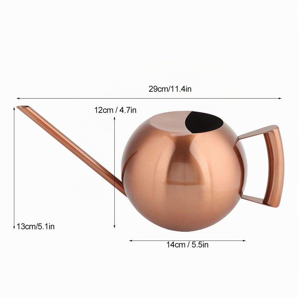 Arrosoir 1L en Métal, Acier Inoxydable Or Rosé à Long Bec, pour Plantes d'Intérieur, Design Moderne pour Balcon, Terrasse et Intérieur, Facile à Nettoyer