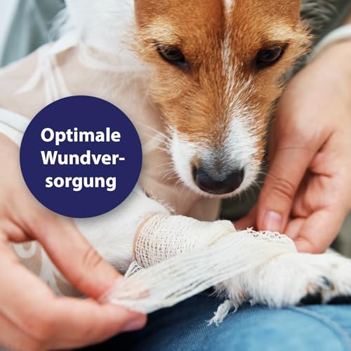 Canosept Wundgel für Hunde 20ml - Wundsalbe Hund - Reinigung & Pflege von Wundbereichen - Optimale Wundversorgung - Stressfreie Anwendung - Von Tierärzten empfohlen