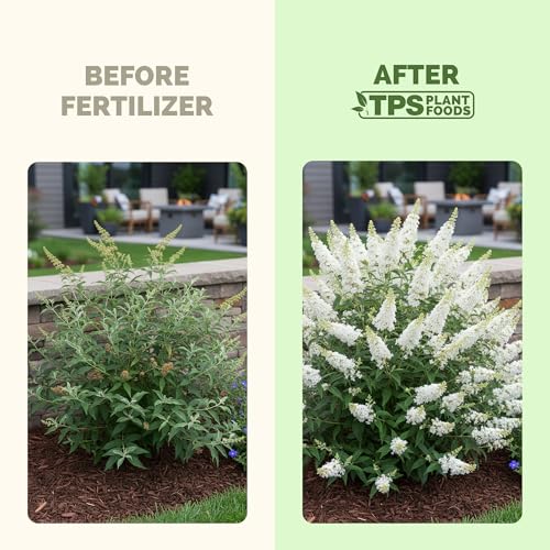 Fertilizante líquido para planta Butterfly Bush 32 oz miniatura 3