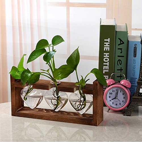Propagation Station Plant Glass EylKoi, Air Plant Hydroponic Terrarium with Retro Brown Wooden Stand Heart Vase - Image 2