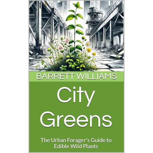 Discover The High-Impact Full Audiobook Experience!