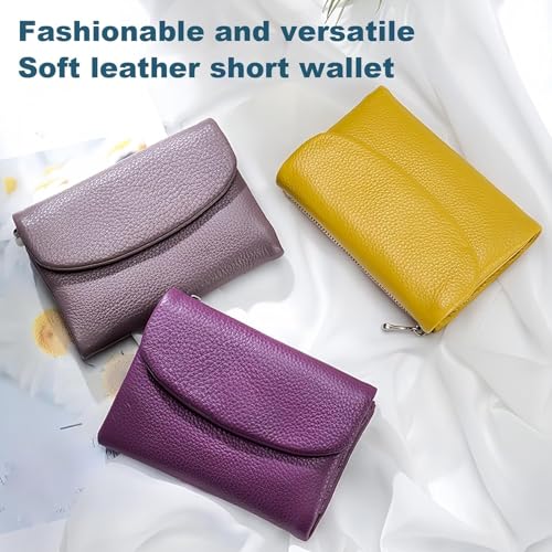 Joyfullygo Wallet, Unisex Pebble Leather Wallet, Strucitural Leather Wallet, Compact Full-Grain Leather Zip, Unisex Soft Pebble Leather with Card Slots & Coin Pocket (Lake Blue)4