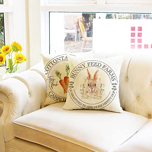 Ogiselestyle-Easter-Carrot-Bunny-Throw-Pillow-Cover-18-x-18-Inch-Happy-Easter-Cushion-Case-for-Sofa-Couch-Set-of-2 Ogiselestyle Easter Carrot Bunny Throw Pillow Cover 18 x 18 Inch Happy Easter Cushion Case for Sofa Couch Set of 2